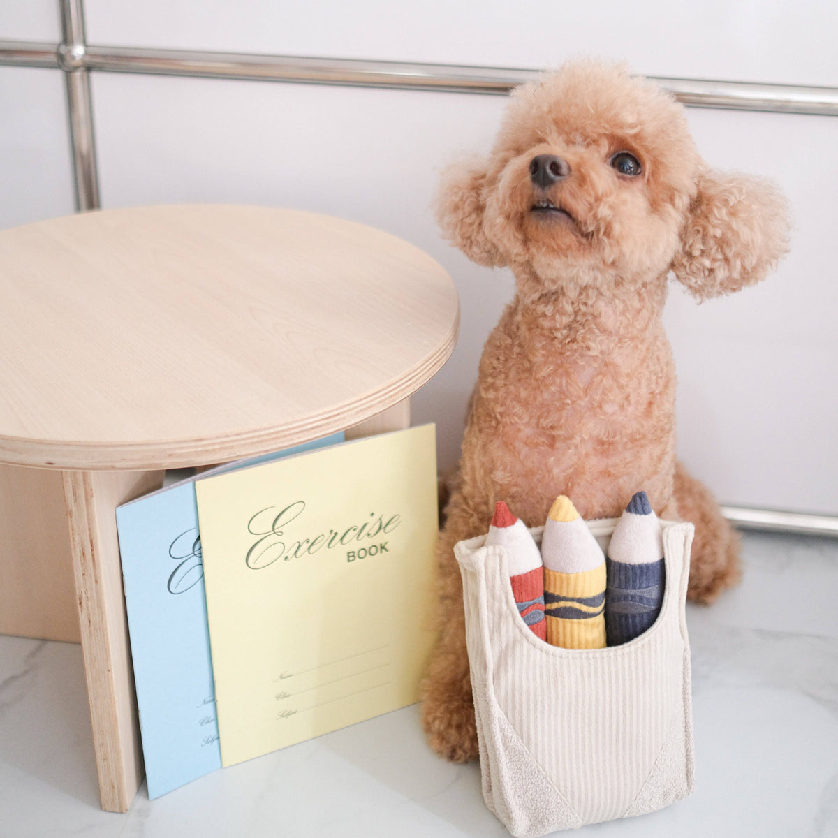 Lambwolf Crayons – Interactieve kleurpotloden voor honden