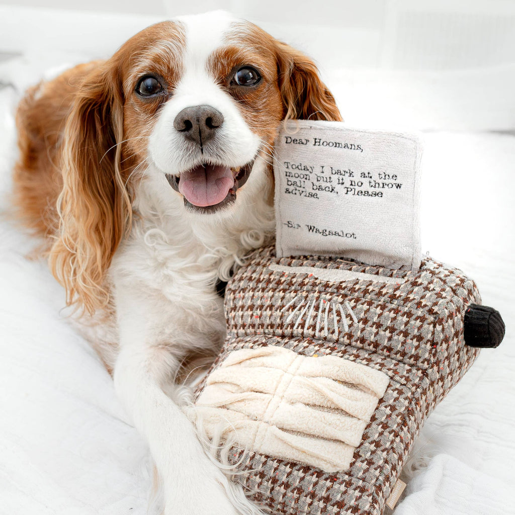 Lambwolf Typewriter – Interactieve typemachine voor honden