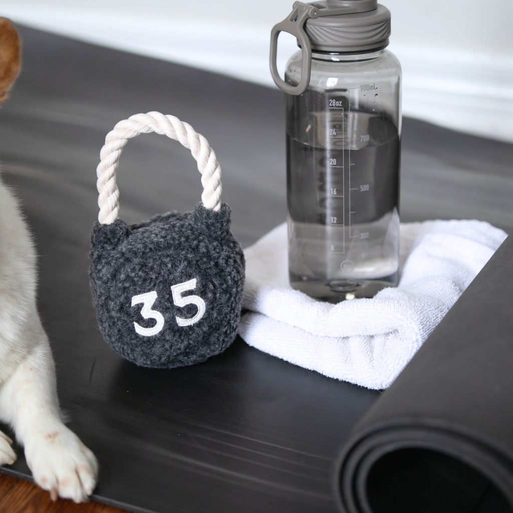 Lambwolf Kettlebell – Hondenspeelgoed met piepbal en touwhandvat