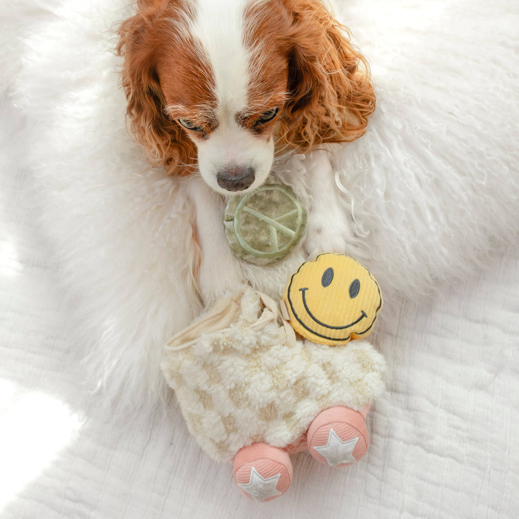 Lambwolf Roller Skate – Interactief snuffelspeelgoed voor honden