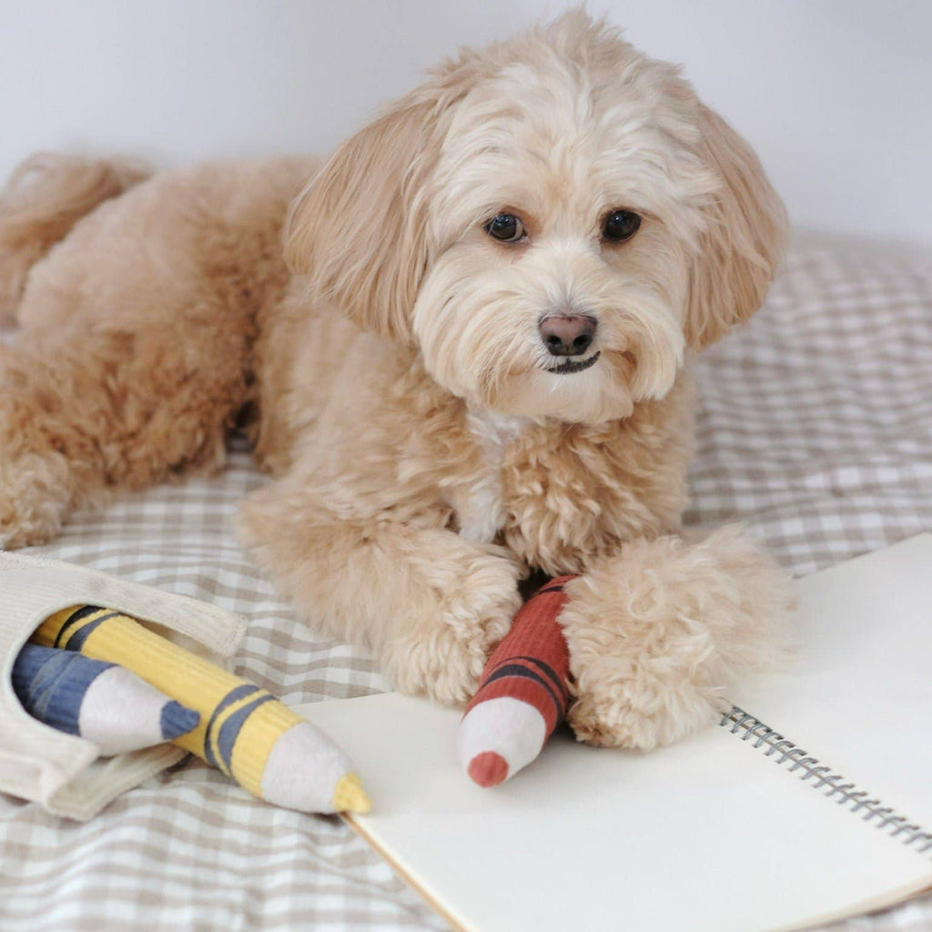 Lambwolf Crayons – Interactieve kleurpotloden voor honden
