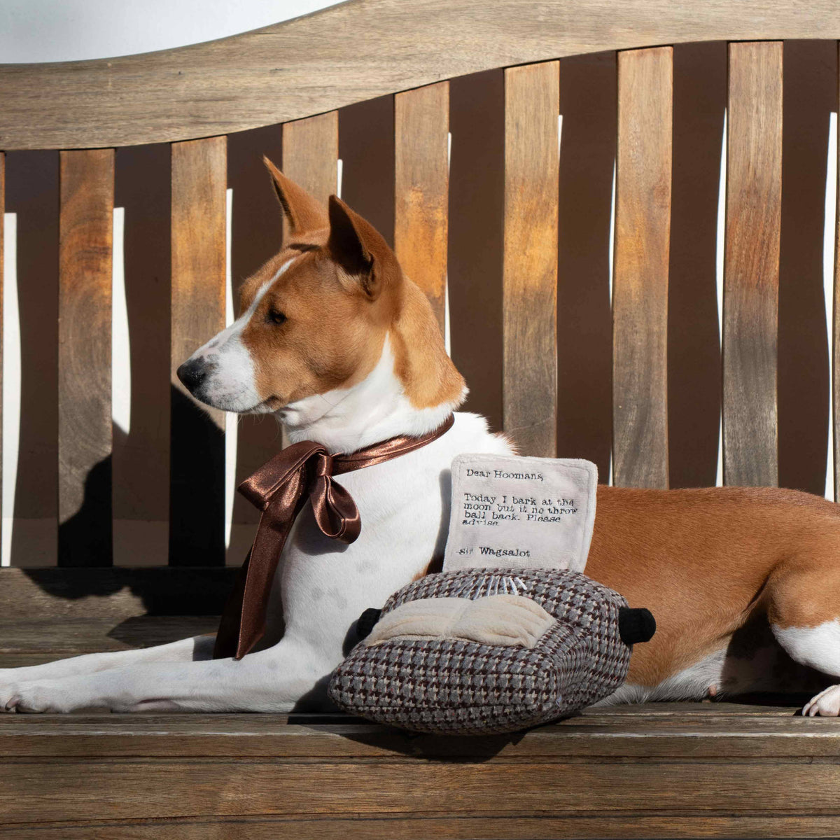 Lambwolf Typewriter – Interactieve typemachine voor honden