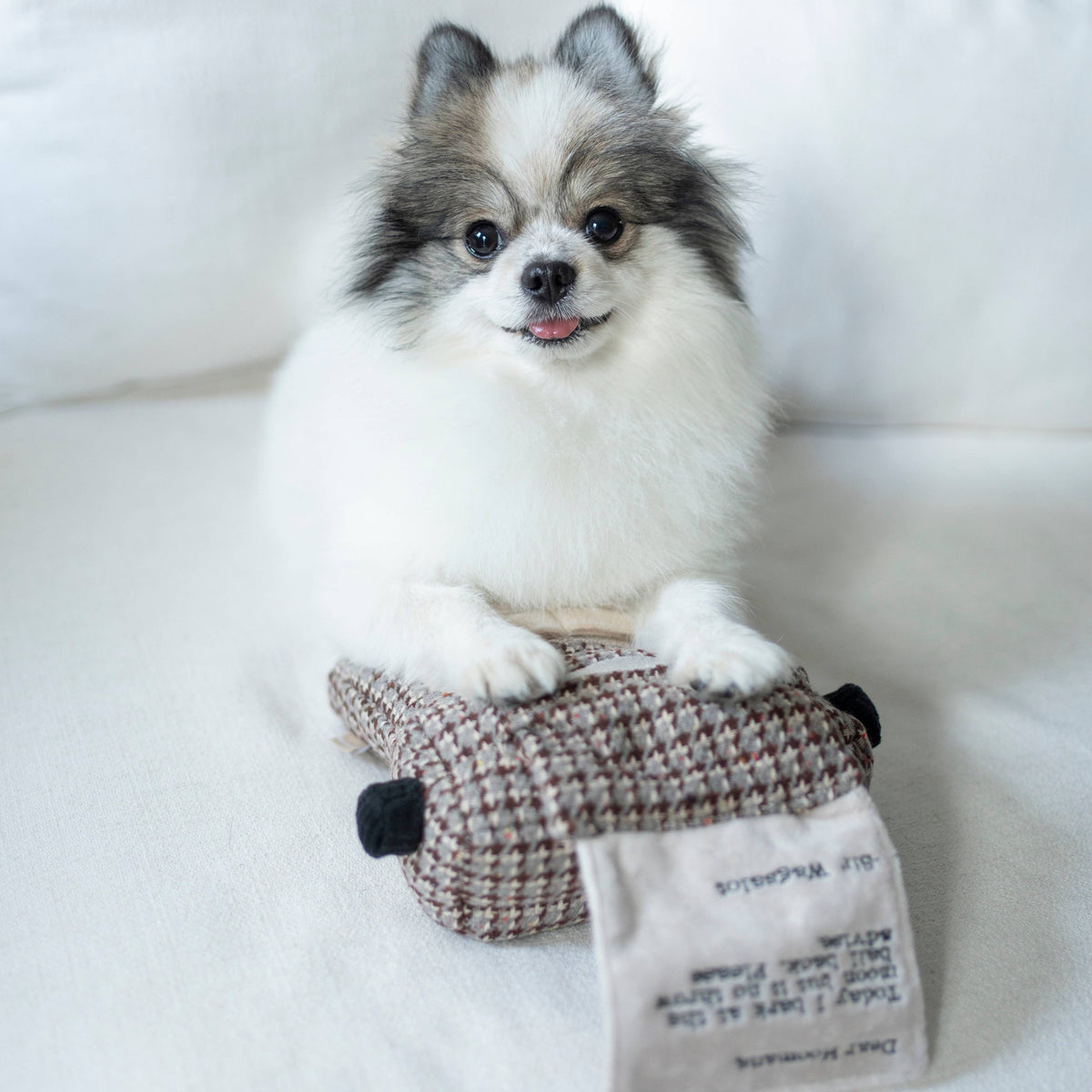 Lambwolf Typewriter – Interactieve typemachine voor honden