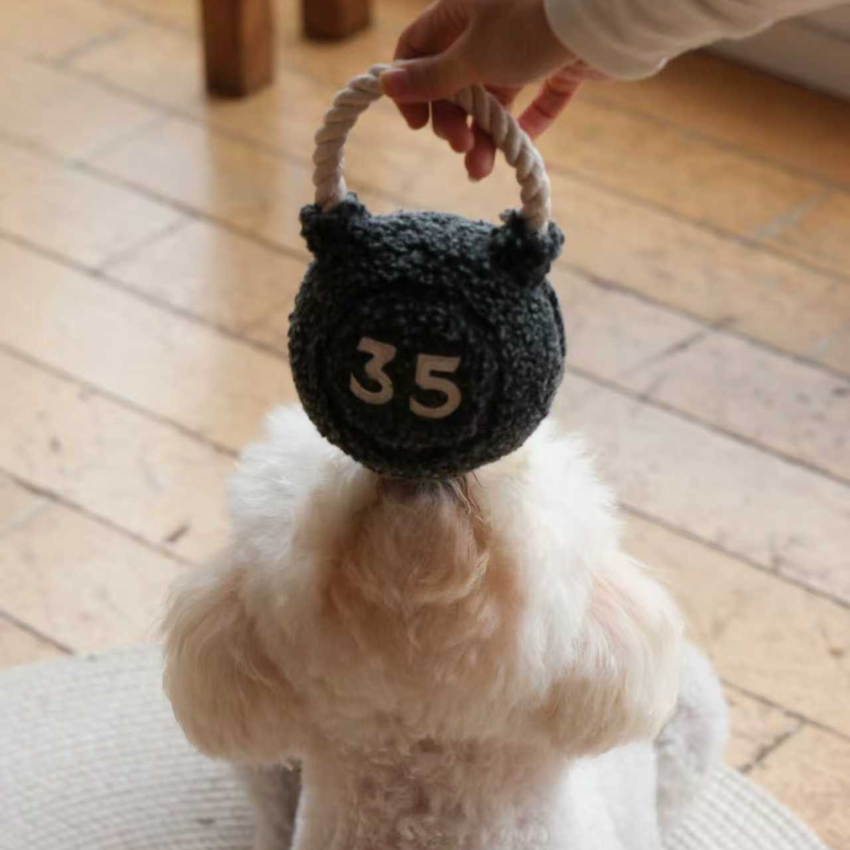 Lambwolf Kettlebell – Hondenspeelgoed met piepbal en touwhandvat