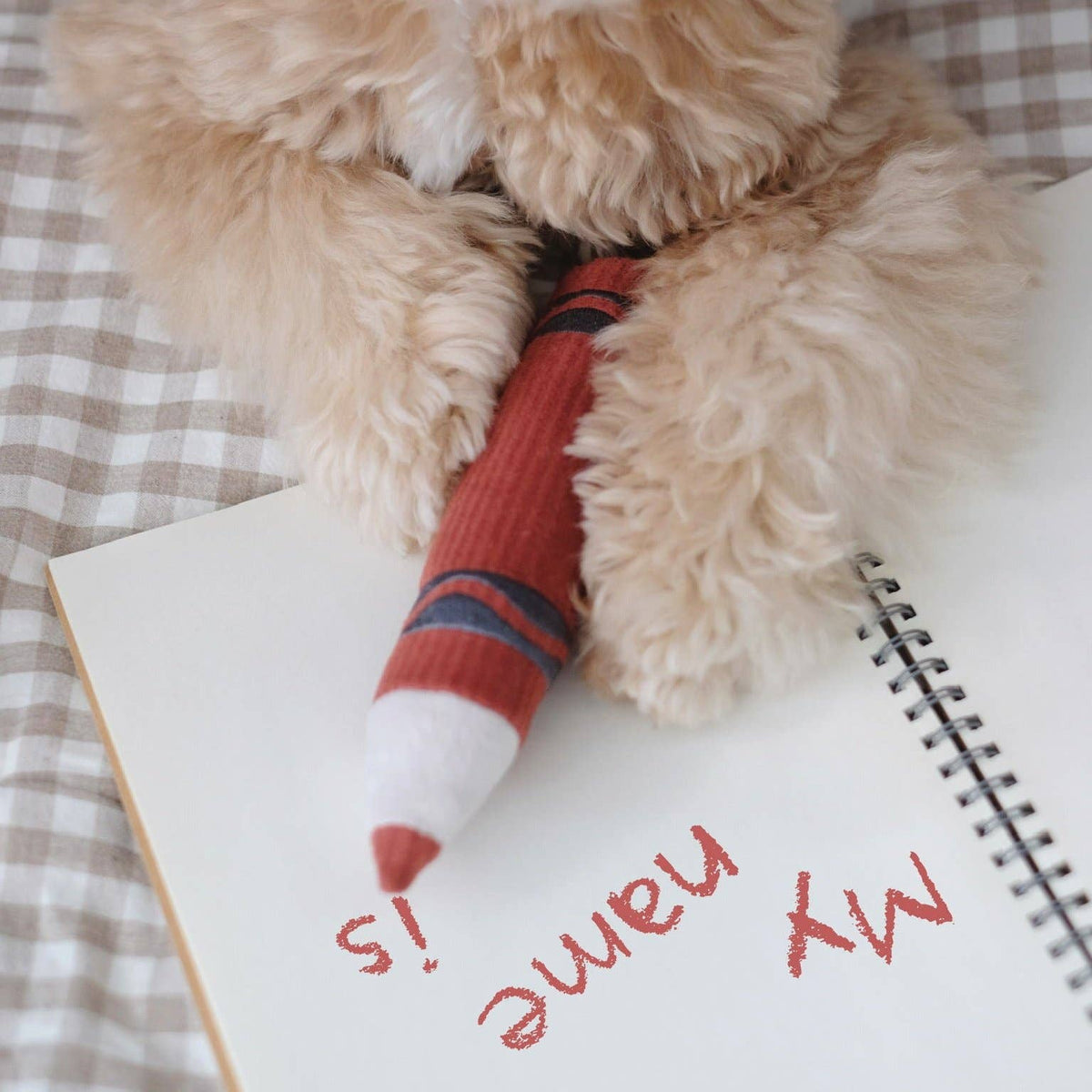 Lambwolf Crayons – Interactieve kleurpotloden voor honden