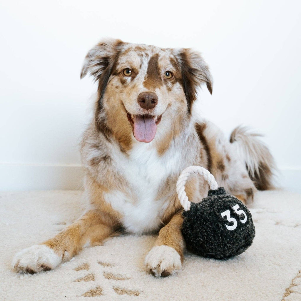 Lambwolf Kettlebell – Hondenspeelgoed met piepbal en touwhandvat
