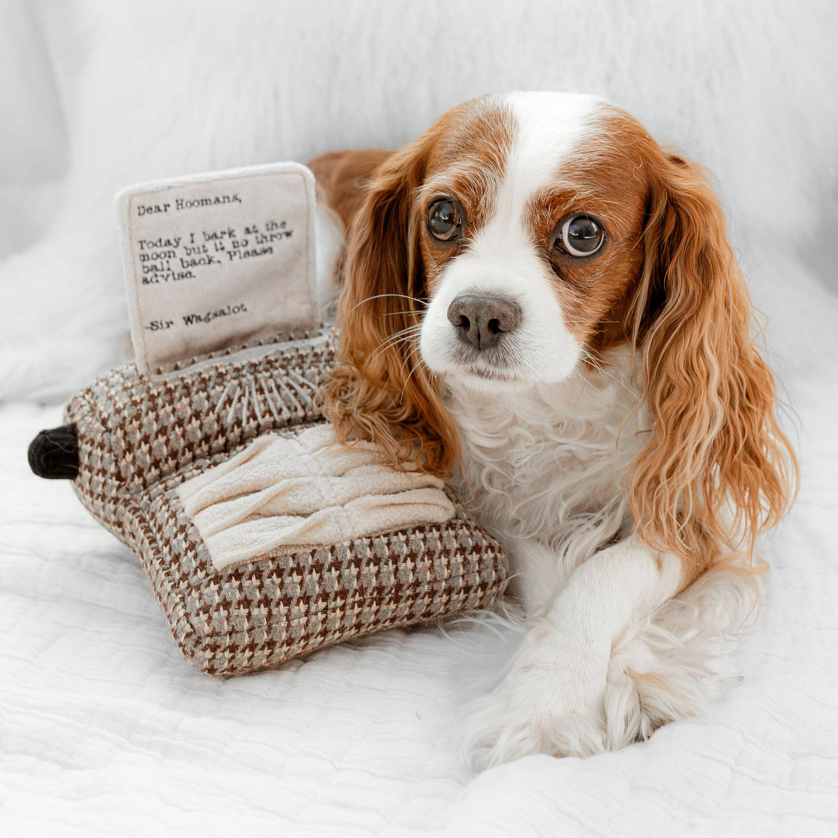Lambwolf Typewriter – Interactieve typemachine voor honden