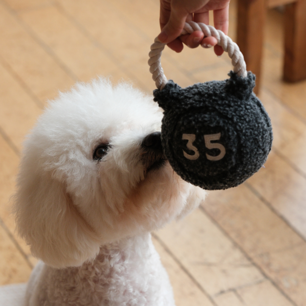 Lambwolf Kettlebell – Hondenspeelgoed met piepbal en touwhandvat