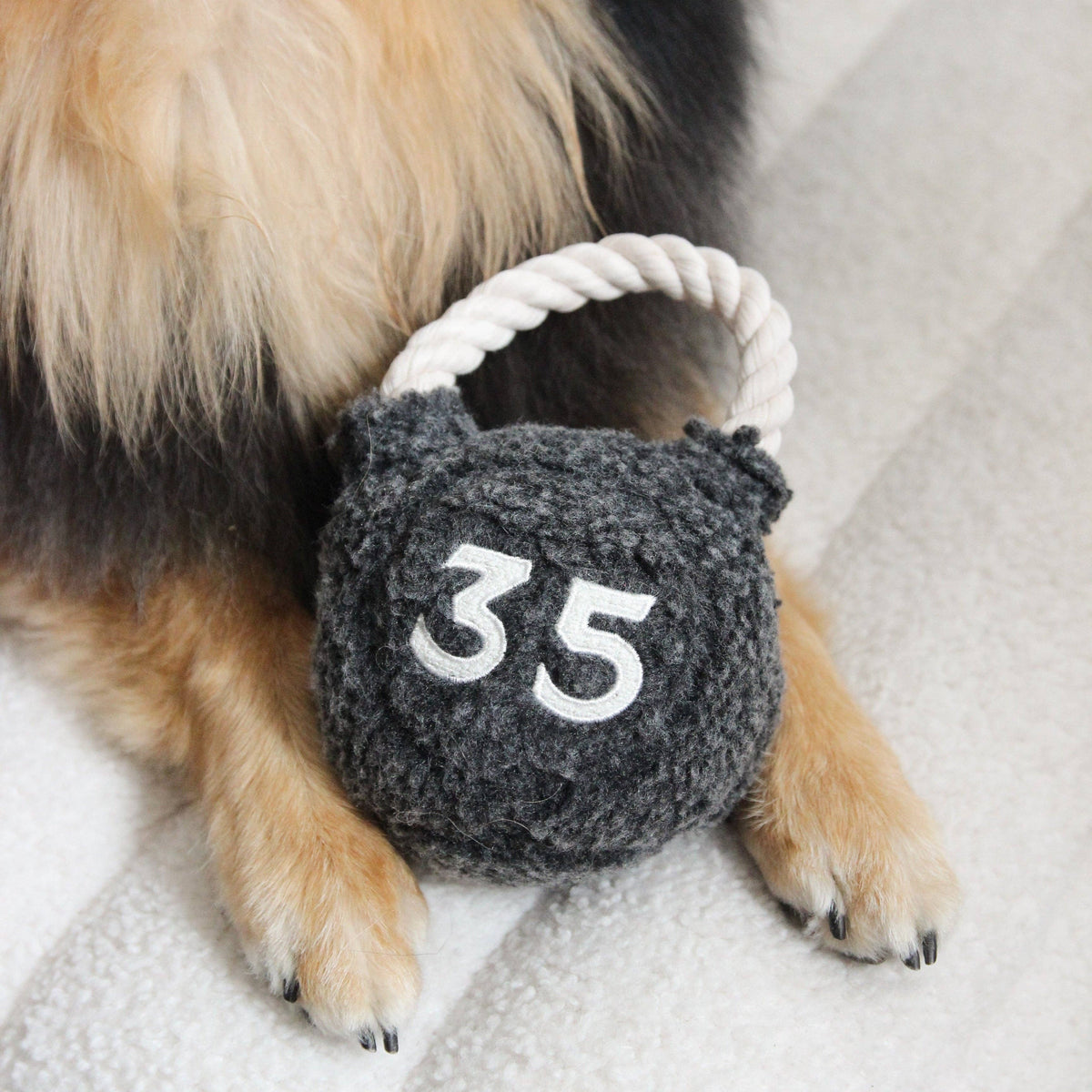 Lambwolf Kettlebell – Hondenspeelgoed met piepbal en touwhandvat