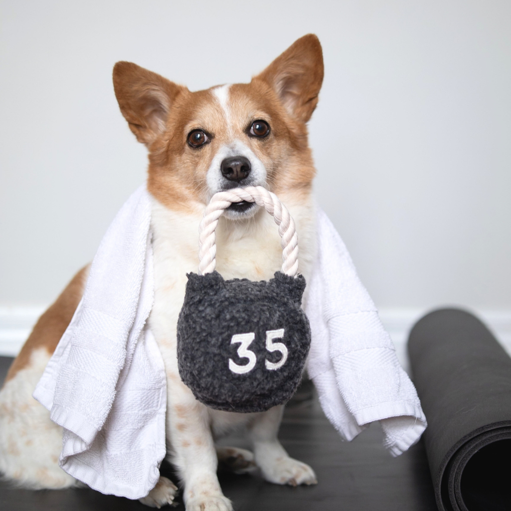 Lambwolf Kettlebell – Hondenspeelgoed met piepbal en touwhandvat