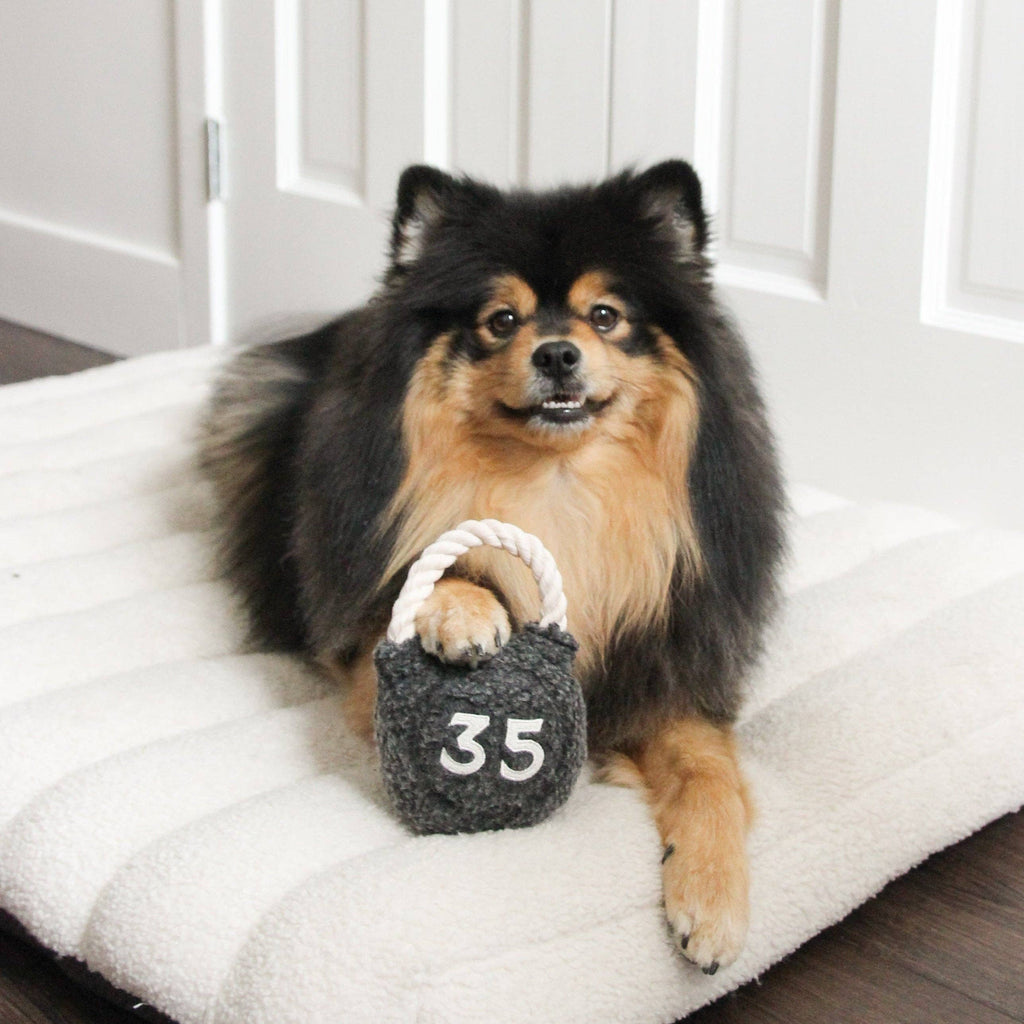 Lambwolf Kettlebell – Hondenspeelgoed met piepbal en touwhandvat