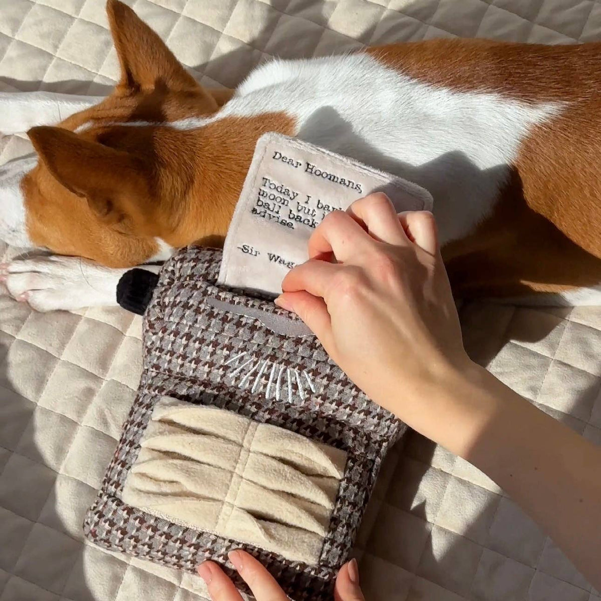 Lambwolf Typewriter – Interactieve typemachine voor honden