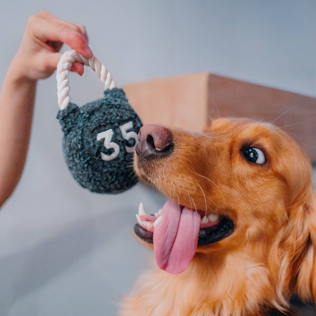 Lambwolf Kettlebell – Hondenspeelgoed met piepbal en touwhandvat