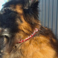 Halsband Hartjes | Handgemaakt door Tugfun