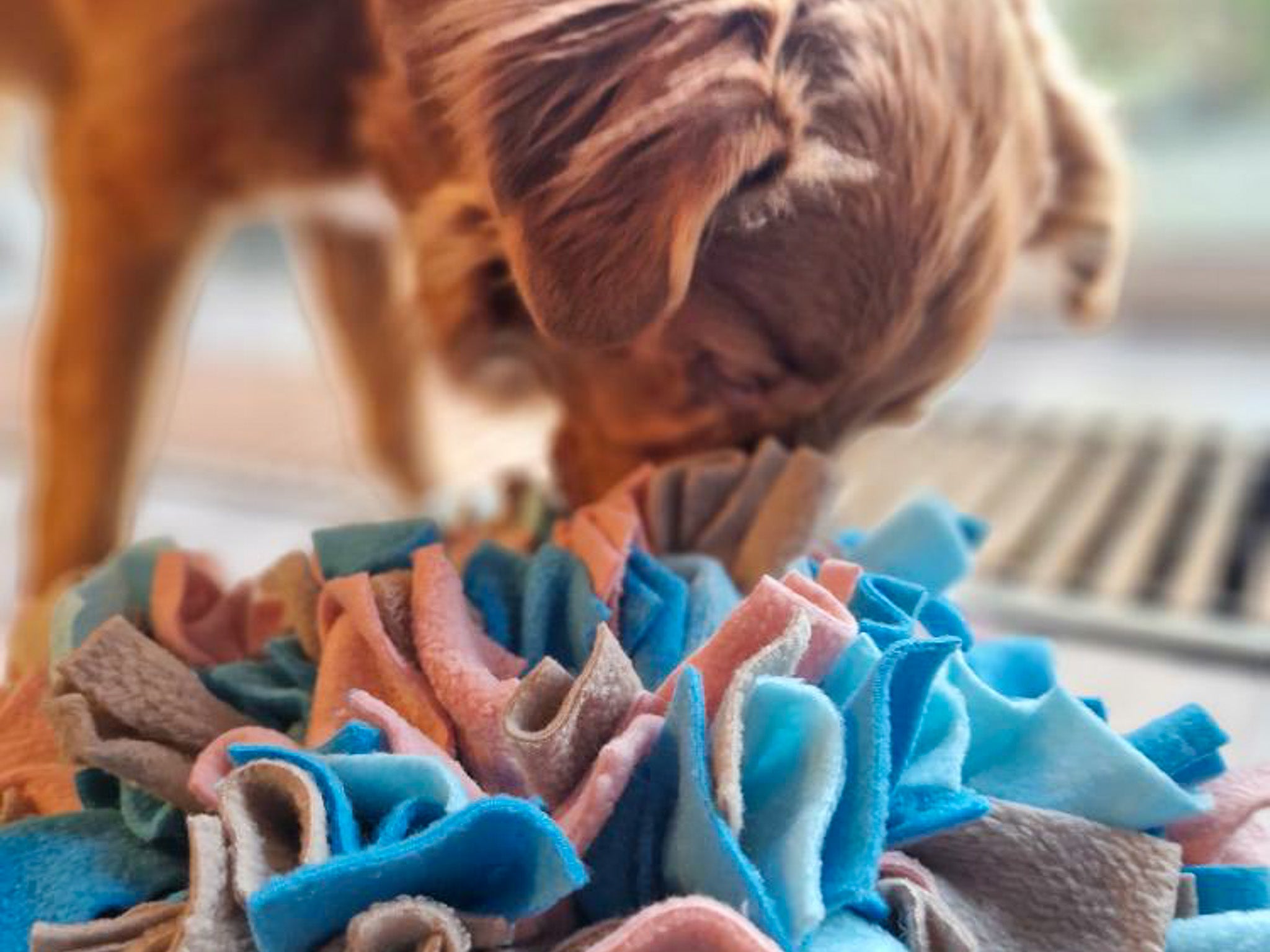 Hond snuffelt tussen de fleece stroken van een snuffelmat