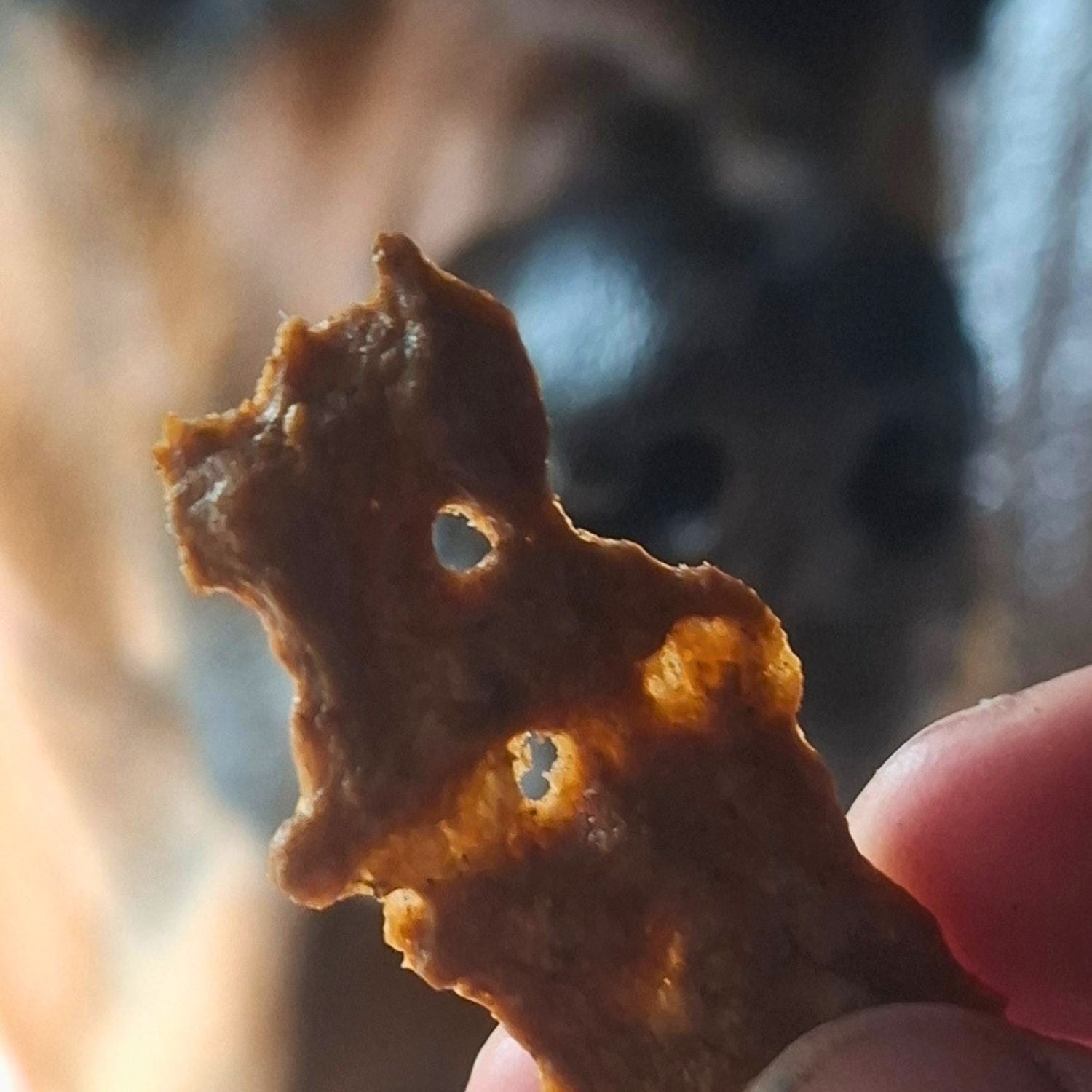 Lakse Kronch zalmsnacks (Pocket)