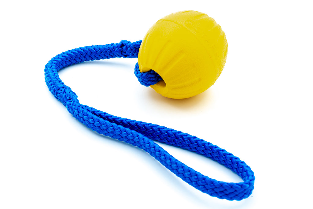 Starmark Swing 'n Fling DuraFoam Bal met Tugfun touw | Tugfun