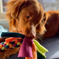 Zola’s Pawsitivity Tug – Boeven & Krachtpatsers