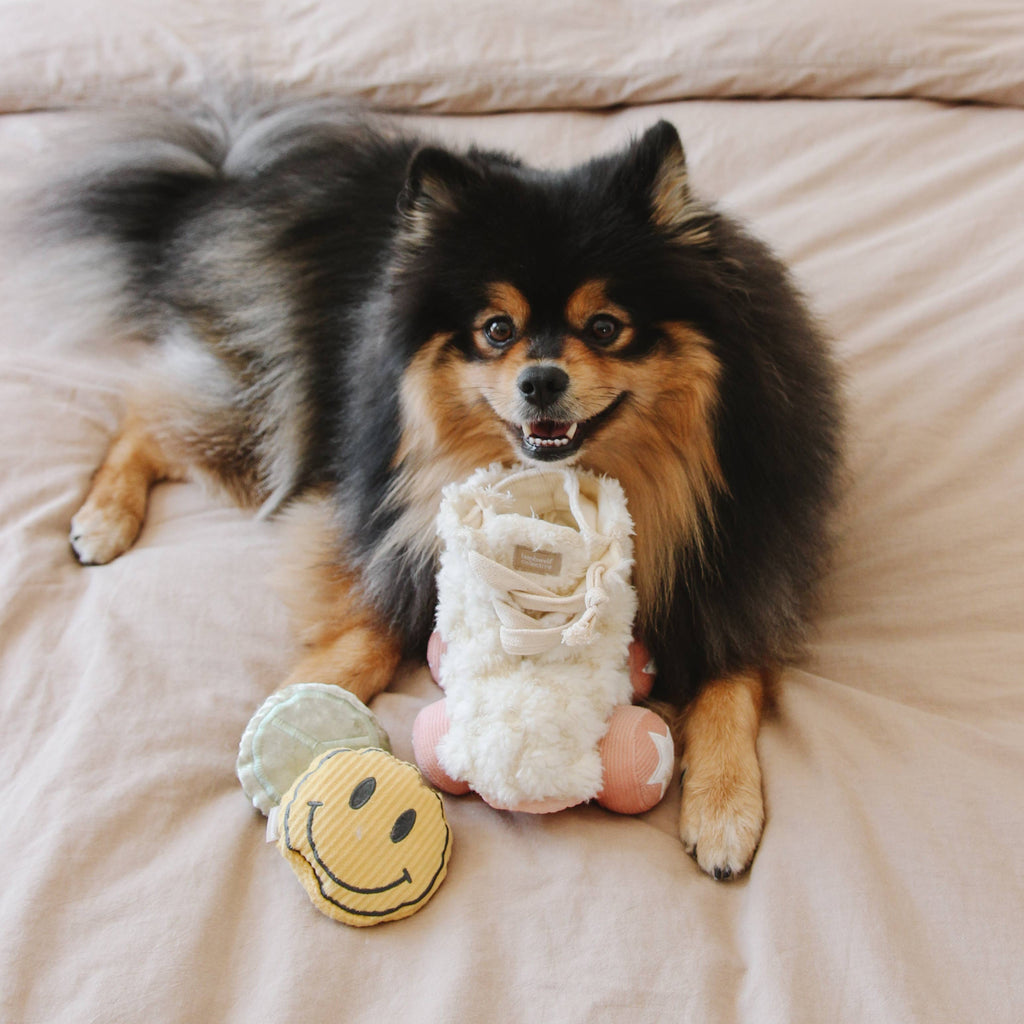 Lambwolf Roller Skate – Interactief snuffelspeelgoed voor honden