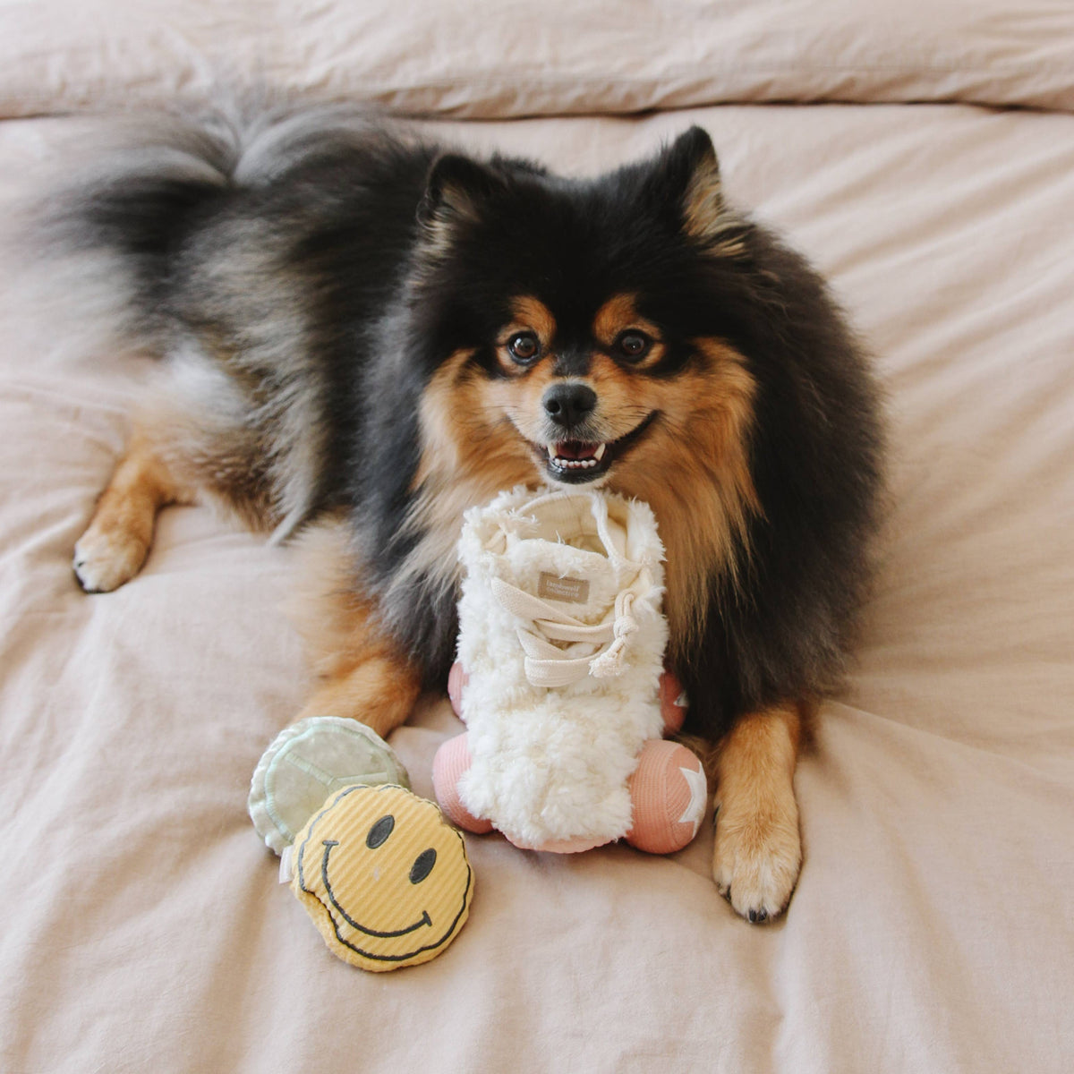 Lambwolf Roller Skate – Interactief snuffelspeelgoed voor honden