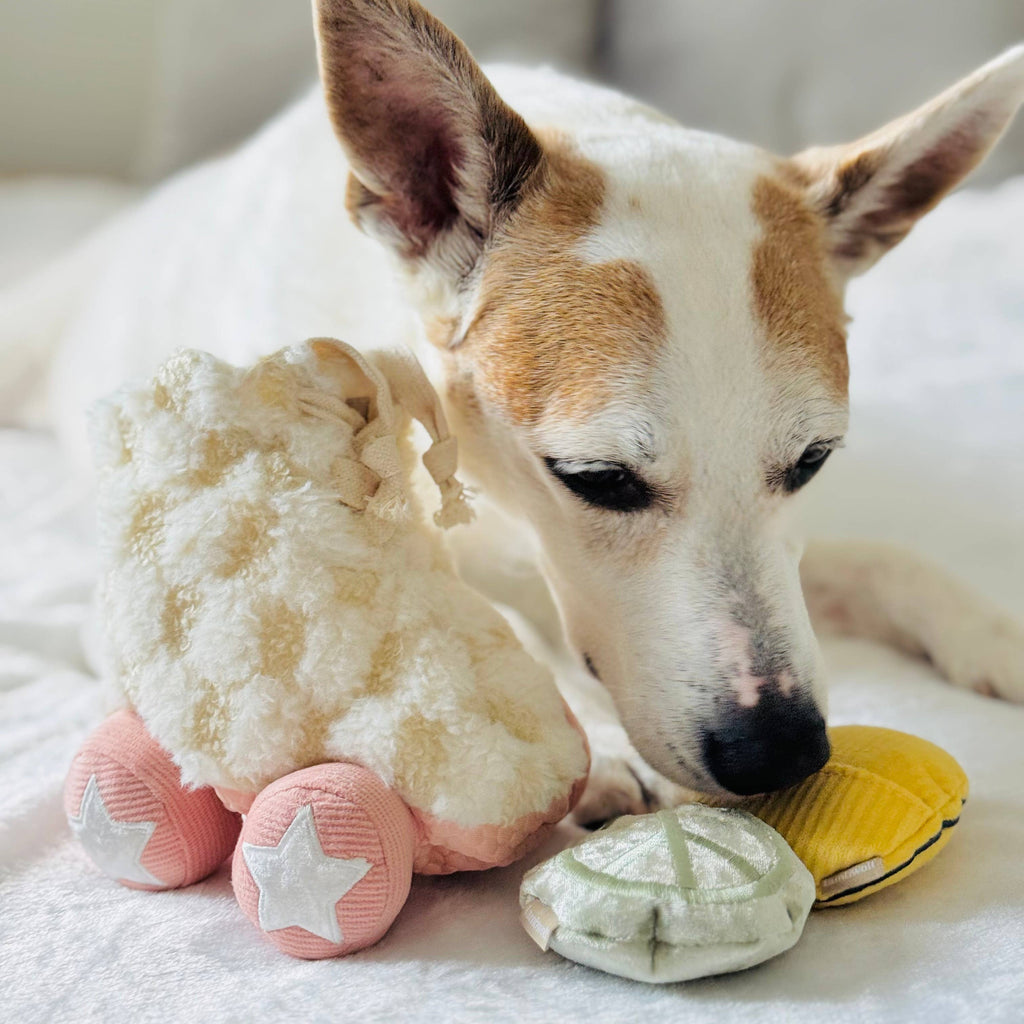 Lambwolf Roller Skate – Interactief snuffelspeelgoed voor honden