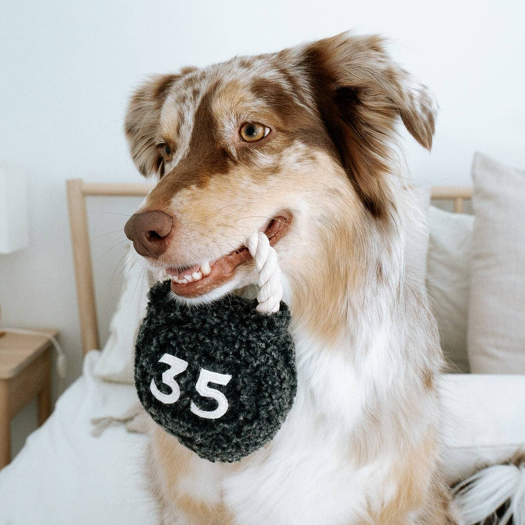 Lambwolf Kettlebell – Hondenspeelgoed met piepbal en touwhandvat