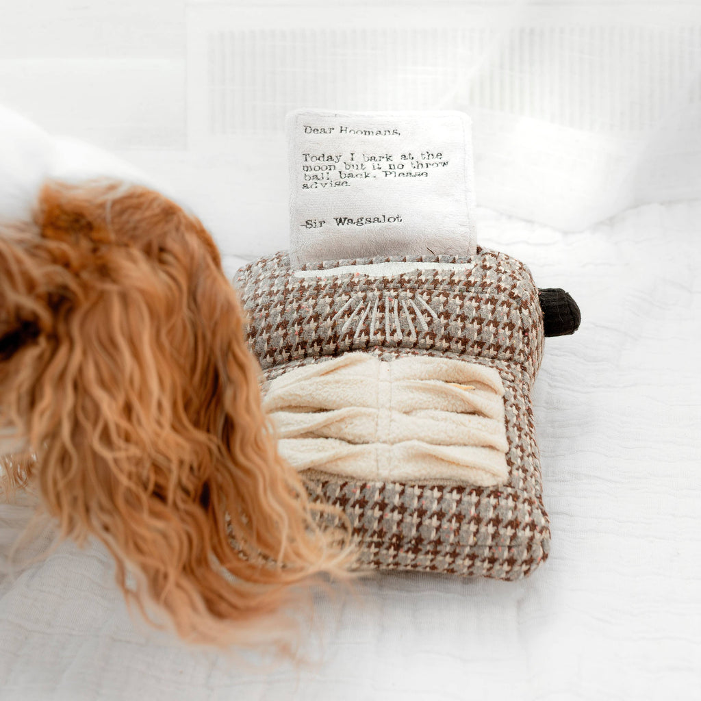 Lambwolf Typewriter – Interactieve typemachine voor honden
