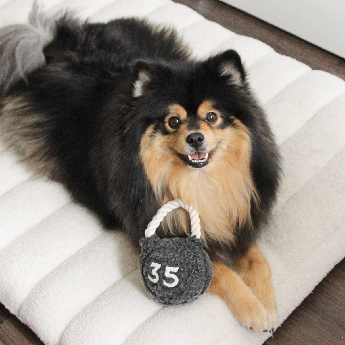 Lambwolf Kettlebell – Hondenspeelgoed met piepbal en touwhandvat