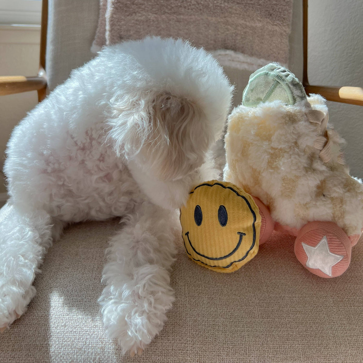 Lambwolf Roller Skate – Interactief snuffelspeelgoed voor honden