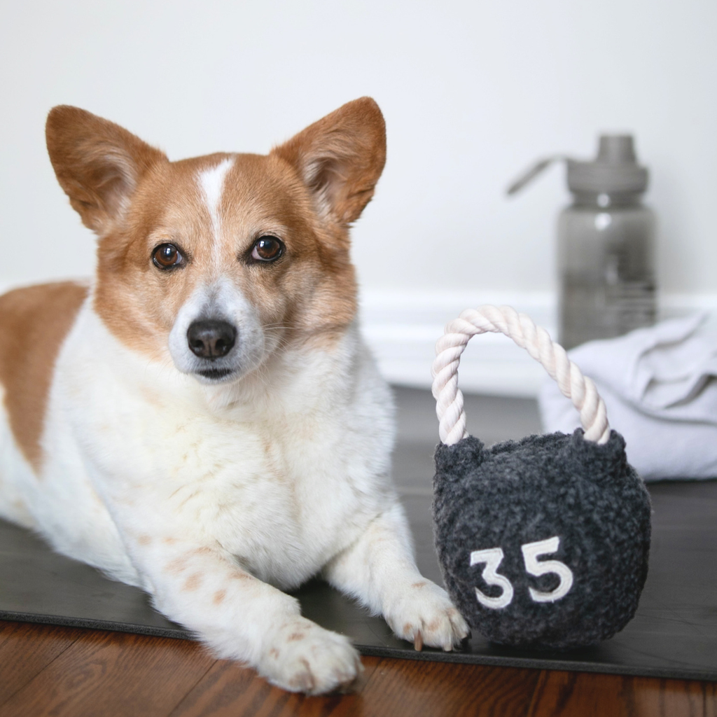 Lambwolf Kettlebell – Hondenspeelgoed met piepbal en touwhandvat