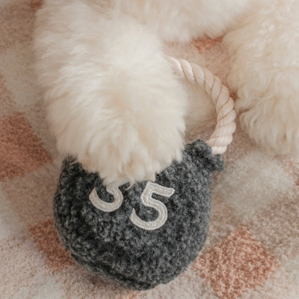 Lambwolf Kettlebell – Hondenspeelgoed met piepbal en touwhandvat
