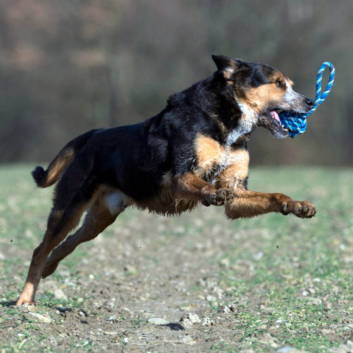 LABONI MAXI Slingerbal – hondenbal met touw
