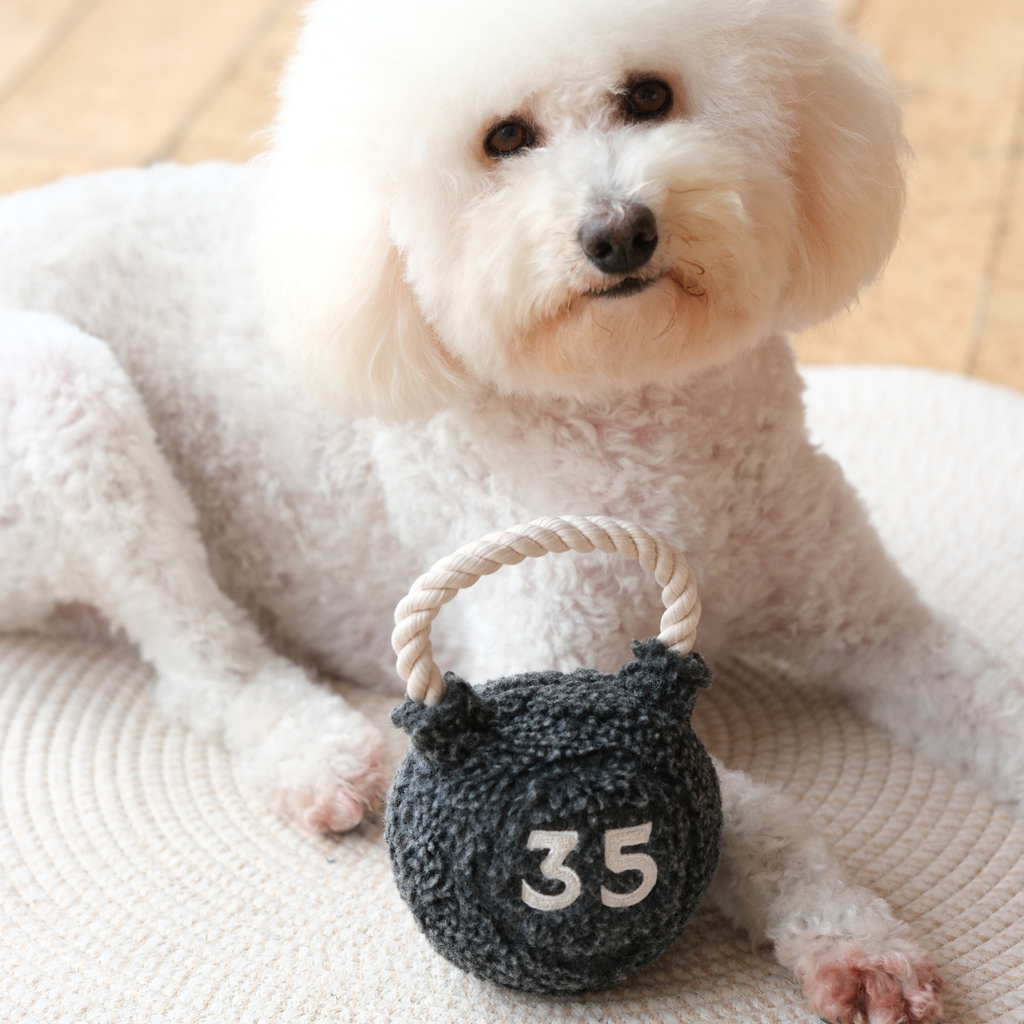 Lambwolf Kettlebell – Hondenspeelgoed met piepbal en touwhandvat
